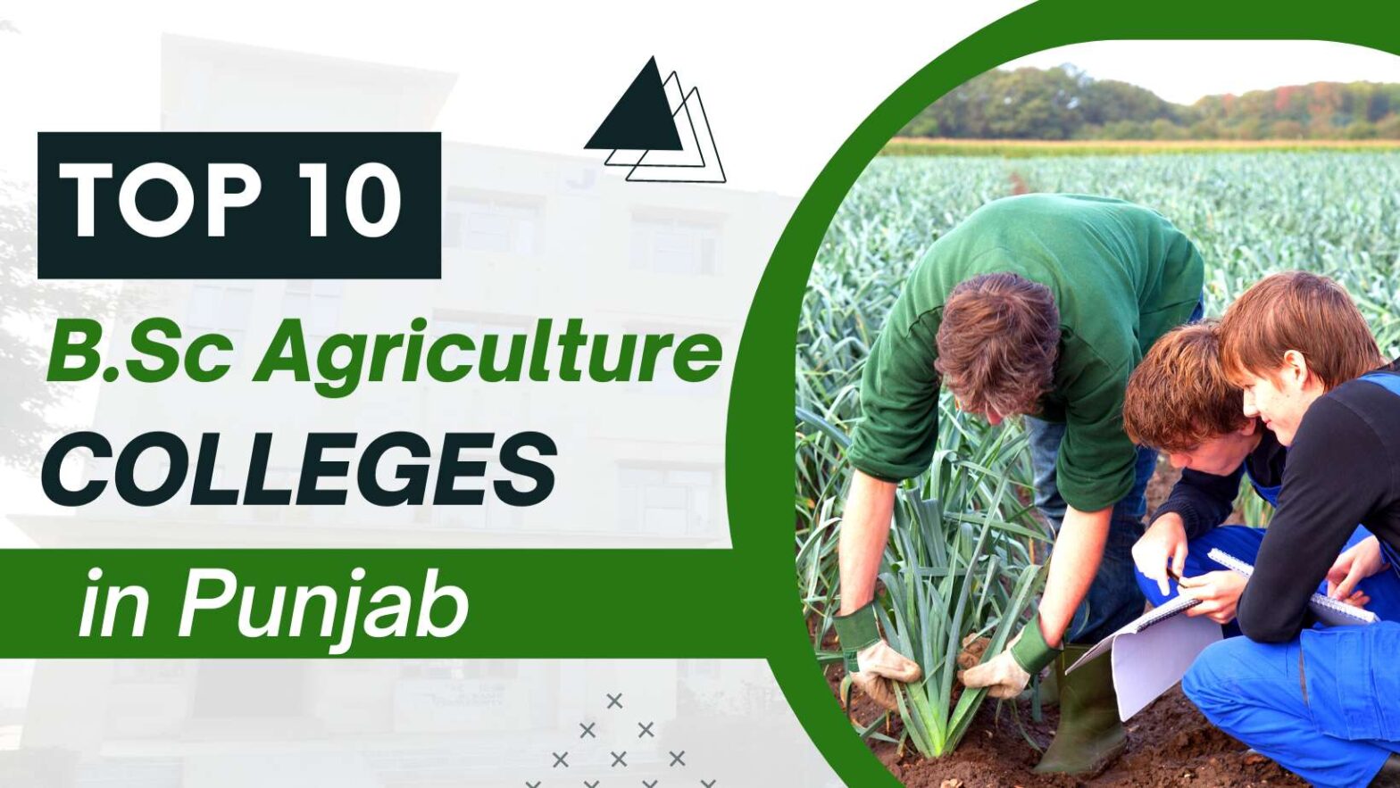 Top 10 BSC Agriculture Colleges In Punjab | GKU